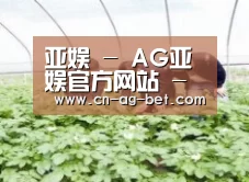 种植基地三