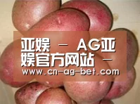 产品展示标题1