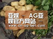 产品展示标题4