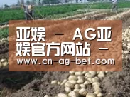 种植基地七(图1)