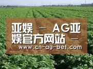 种植基地五