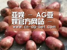 产品展示标题5(图1)